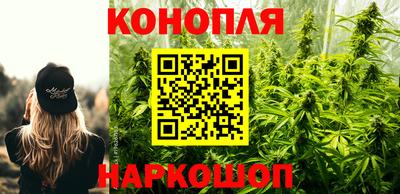 тгк Новокубанск