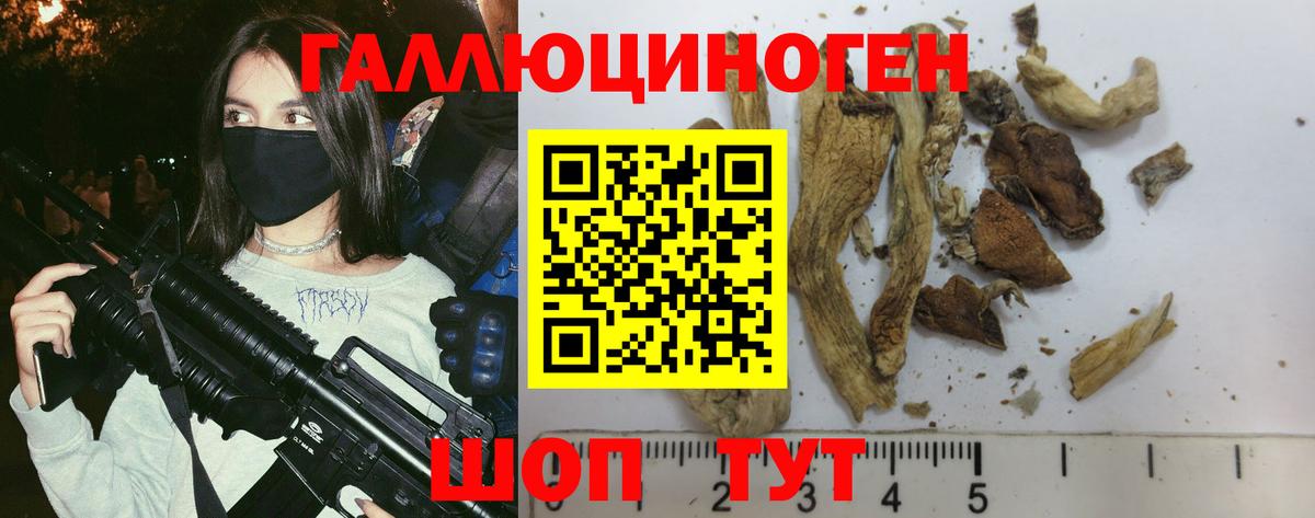 Галлюциногенные грибы GOLDEN TEACHER  Вход с VPN  Томск 
