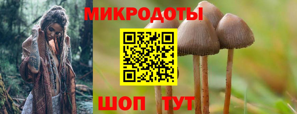 Галлюциногенные грибы мицелий Томск